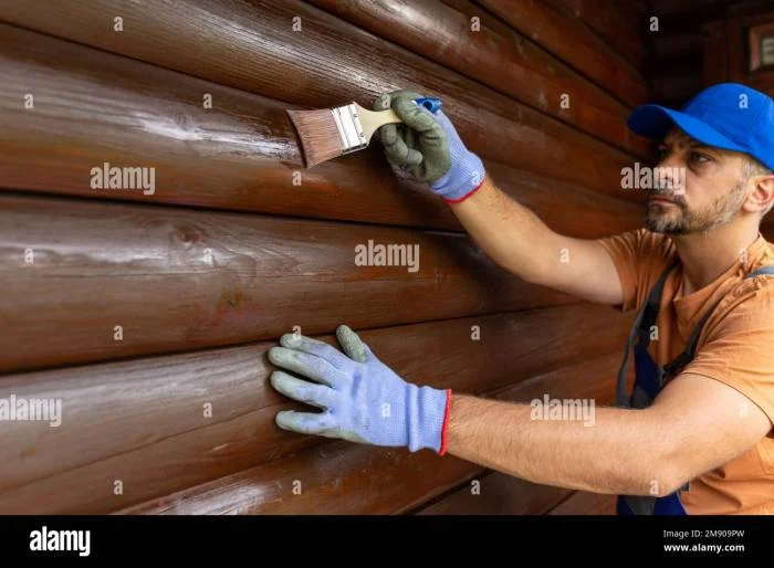 Perawatan rumah minimalis berbahan kayu agar awet